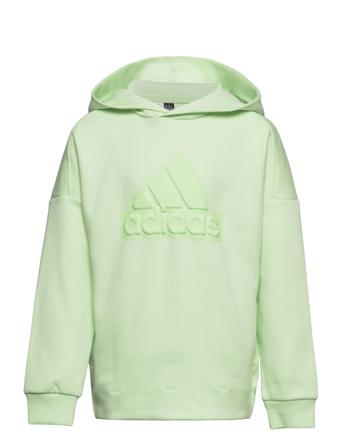 U Fi Logo Hd Sport Sweatshirts & Hoodies Hoodies Green Adidas Performance