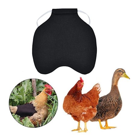 5 stk Kylling Sal Hønseforkle Penneholder Vinge Ryggbeskytter