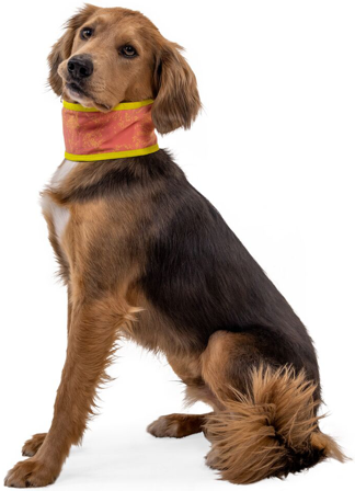 RuffWear Swamp Cooler Neck Gaiter Salmon Pink/Blue Mist