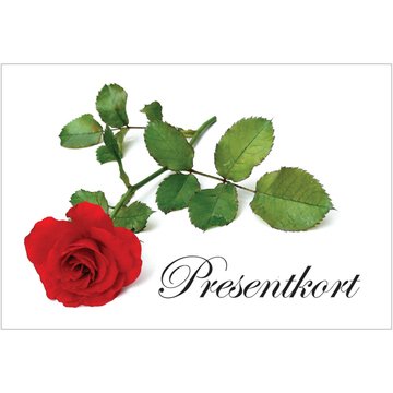 GAVEKORT ROSE M/KONVOLUTT