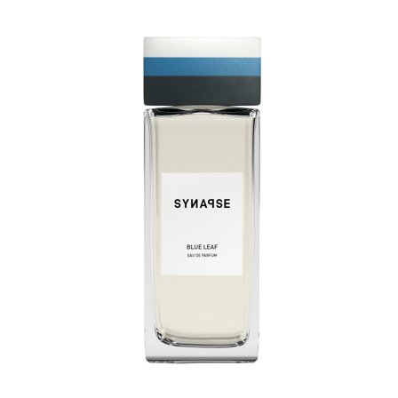 Synapse Blue Leaf 100ml - Eau de Parfum