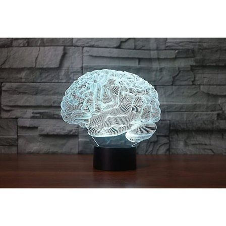 Hjerne 3D Illusions nattlys Akryl Lys 3D Kunst Hjernemodell LED Lys Farger Skiftende Soverom Nattlys Gaver