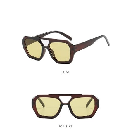 Lyxiga designer grossist retro stora oregelbundna nyanser solglasögon kvinnor 2024 dubbla bro solglasögon Lunettes