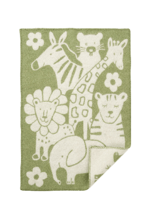 Klippan Picninc Bädda Unisex Grön ONESIZE