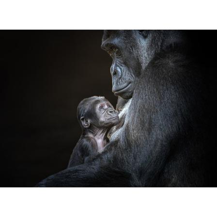 Mum? Poster 70x100 Cm