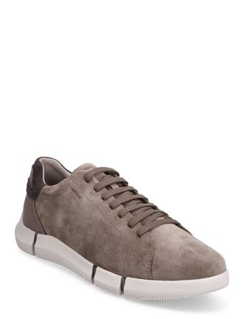 U Adacter A Shoes Sneakers Business Sneakers Grå GEOX