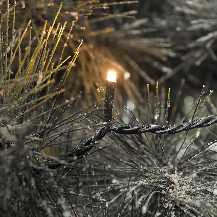 Konstsmide 3644-800 Lysslynge rav, 27,9 m, Belysning