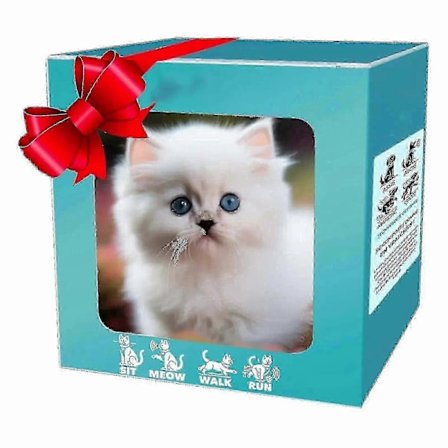 Nico Robothund, Katt, Min Realistiske Robotvalp, Interaktivt Plysjleketøy Som Oppfører Seg Som en Ekte Valp, Katt[D]