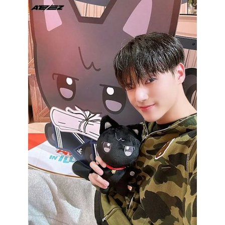 1/8 stk ATEEZ Aniteez Kawaii udstoppede dyr Plys Legetøj Koreansk værelse dekoration gaver