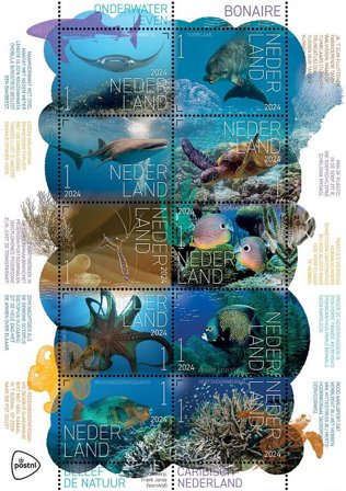 Holland - Oplev naturen 2024: Undervandsliv Bonaire - Postfrisk 10-ark