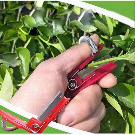 Hageplanteplukker, fingerplukker, kniv for plukking av te, beste gave