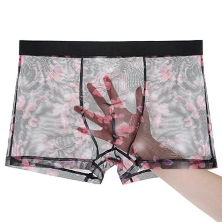 Mäns Underkläder Mäns Ultratunna Transparenta Boxer Shorts Mäns Mesh Kalsonger Homme Kalsonger Boxer Bekväma Mäns Underbyxor AB200