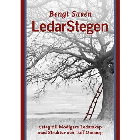 LedarStegen 9789187817434