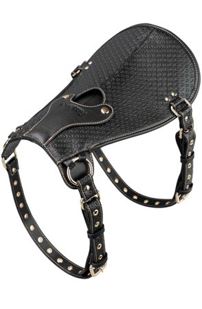 Lovetoy Rebellion Reign Dildo Saddle Strap-on valjailla