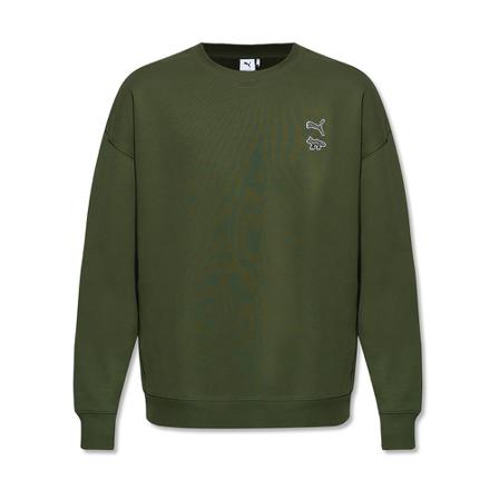 Puma Sweatshirt Grøn, Herre Sweatshirts, Størrelse: L