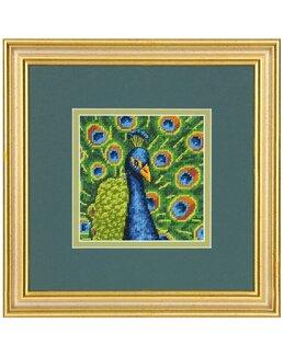 Bild Bunter Pfau