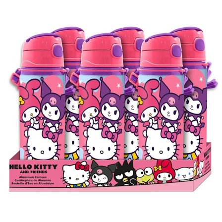 Hello Kitty vattenflaska i aluminium, 600 ml kapacitet