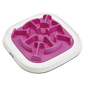 Savic, Pet Enigma Aktivitetslegetøj