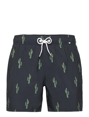 Hco. Guys Swim Hollister Black