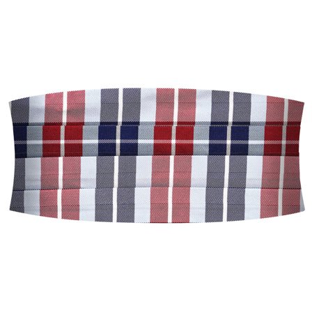 BLÅ & BORDEAUX TERNET Silkeskærf til mænd - Skærf