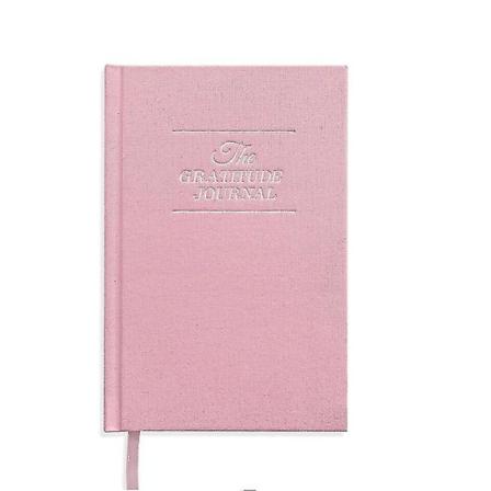 Takknemlighetsdagboken - Daglig Takknemlighetsdagbok For Lykke, Mindfulness Og Refleksjon - Udatert Livsplanlegger pink