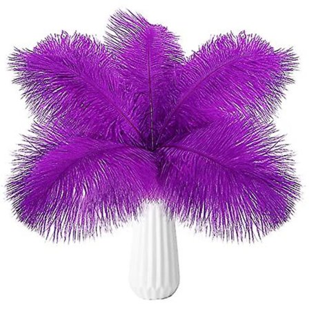 10 st strutsfjädrar naturlig bulk