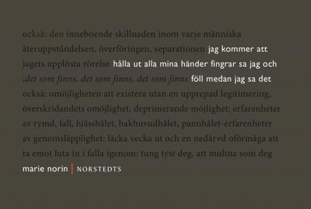 jag kommer att hålla ut alla mina händer fingrar sa jag : och föll medan jag sa det - Bok av Marie Norin - Inbunden