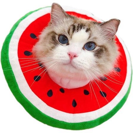 Heytea Kat Kegle Krave Blød Justerbar Kat Genoptræningskrave Sårheling Beskyttende Kattekegler Efter Operation Søde katte Elizabethanske Kraver til 