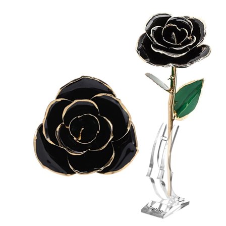 Långstammad doppad 24k guldtrimmad röd ros i guldförpackning med stativ (svart ros med stativ)