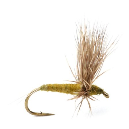 Comparadun Bwo Døgnflue Tørr - 16