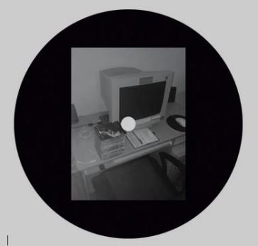 The undeniable classics vol.1 RICO PUESTEL