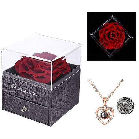 Bevart ekte rose med Love You-halskjede i 100 språk gaveeske
