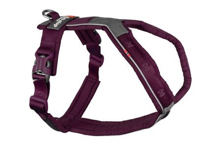 Non-Stop Dogwear Line Harness 5.0, violetti - Varusteet