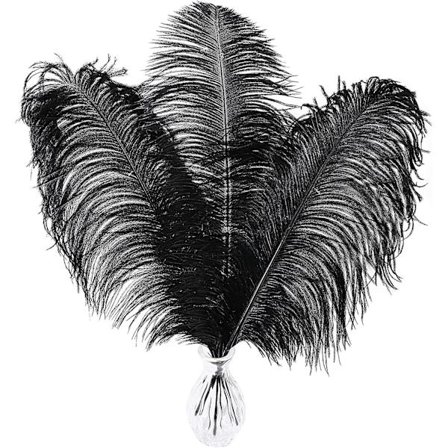 Svarta strutsfjädrar i bulk - 16-18 tum 10 st fjädrar för vas, bröllopsfestens mittpunkter och heminredning (svart)
