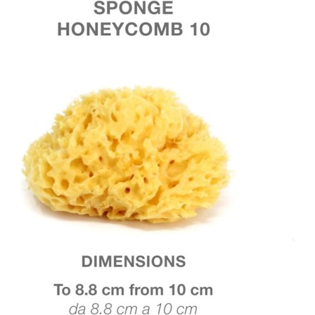 Naturlig middelhavssvamp for nyfødt bad - Størrelse 10