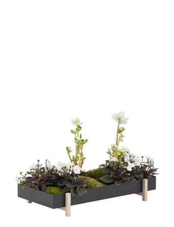 Botanic Tray Home Decoration Flower Pots Svart Design House Stockholm