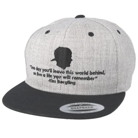 Iconic - Grå snapback Keps - One Day Grey Snapback @ Hatstore