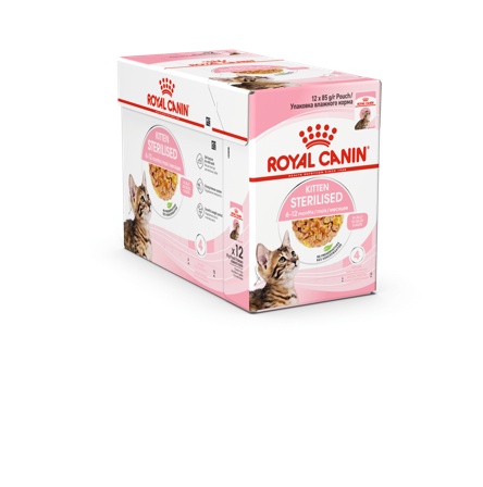 Royal Canin - Kitten Sterilised Jelly Våtfôr for kattunger 85 g x 12 stk - Katt - Kattefôr & kattemat - Våtfôr og våtmat - ZOO.no