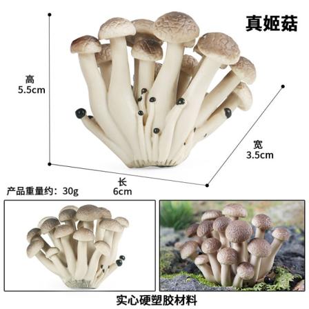 19 st/ set Svampmodell Grönsaksrekvisita Barnpussel Leksak Dekoration Dekoration Scen rekvisita M-2129 real mushroom