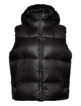Daisy Vest Women Vests Padded Vests Svart Head