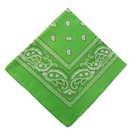 Bandana tørklæde sjal snus klud paisley mønster lysegrøn