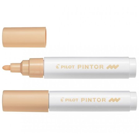 Pilot Pintor Medium Tip Neon Red