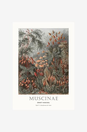 Malerifabrikken - Juliste Tafel 72 - Vihreä - Julisteet - - Homeroom