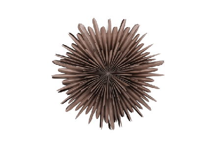 Venture Home Sälen Adventsstjärna -80cm Julbelysning Unisex Beige 80 cm