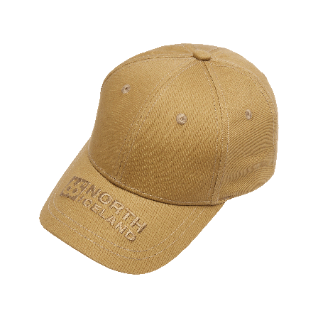 66 North women's Dyngja Accessories - Iceland Moss - one size