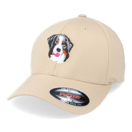 Iconic - Beige flexfit Keps - Bernese Mountain Dog Khaki Flexfit @ Hatstore