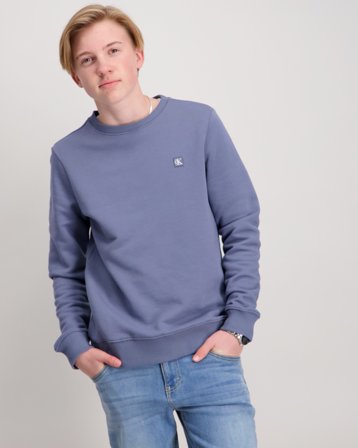 Calvin Klein MONO MINI BADGE REG CN Grau Pullover Jungen - Kids Brand Store