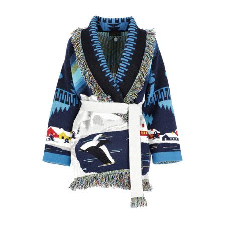 Alanui, Long Knitwear Blauw, Dames, Maat:L,print