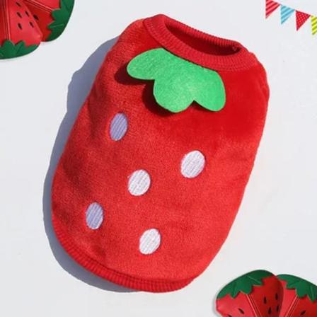 Tecknad fleece hundkläder för små hundar Jacka Jacka Vintervarma husdjurskläder för hundkläder Tröja Chihuahua kläder XXS Strawberry XXS for 0.65-1.2 
