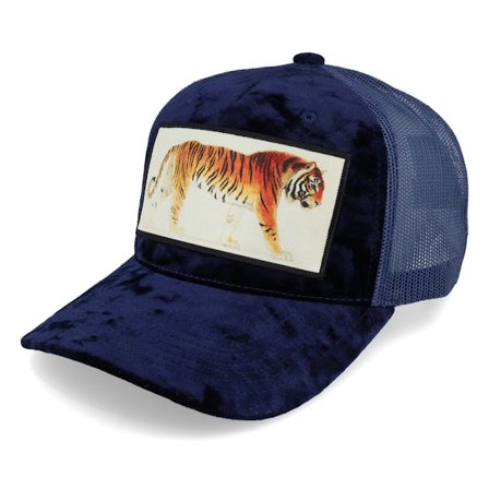 Calza Pennello - Blau trucker Cap - Tiger Velvet Navy A-frame Trucker @ Hatstore